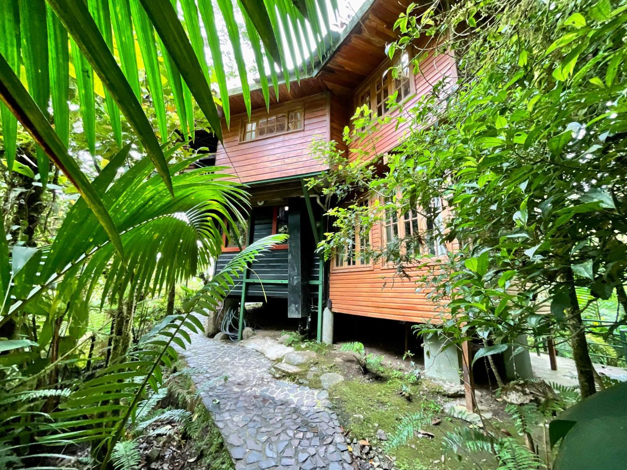 Los Quetzales Ecolodge & Spa Cerro Punta Exterior photo